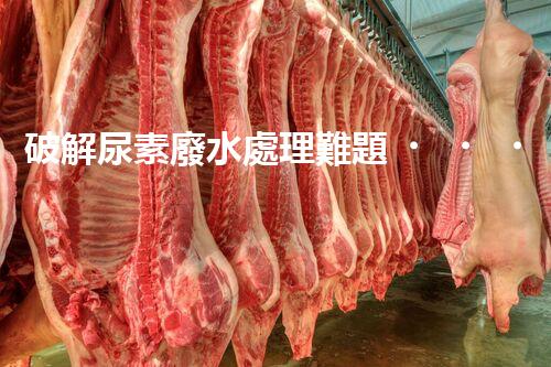 破解尿素廢水處理難題？探索高效低耗新路徑！
